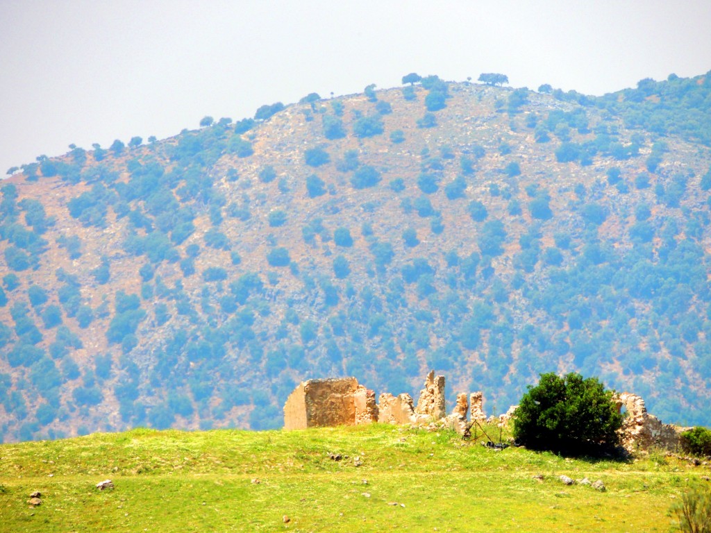 Foto: Ruinas del convento - La Muela de Algodonales (Cádiz), España