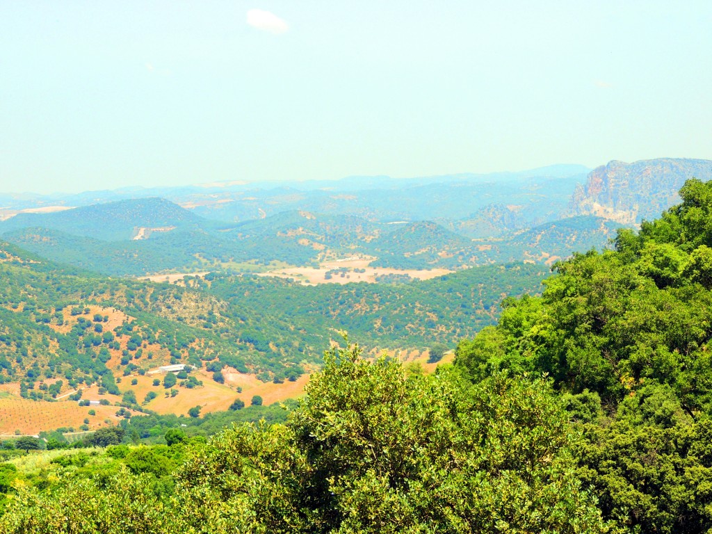 Foto: Paisaje serrano - La Muela de Algodonales (Cádiz), España