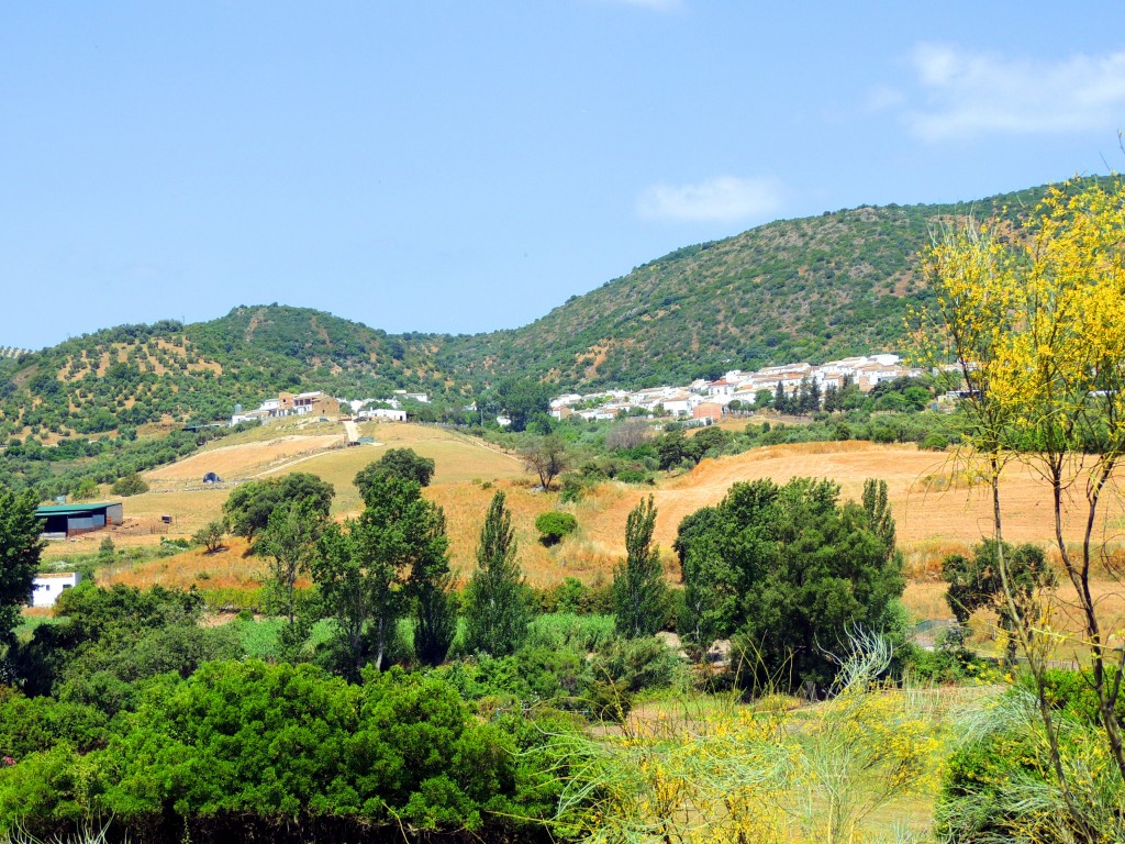 Foto: Vista de La Muela - La Muela de Algodonales (Cádiz), España