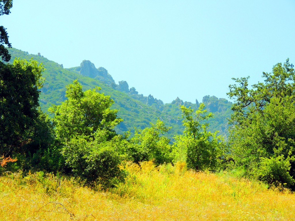 Foto: Los Riscos - La Muela de Algodonales (Cádiz), España