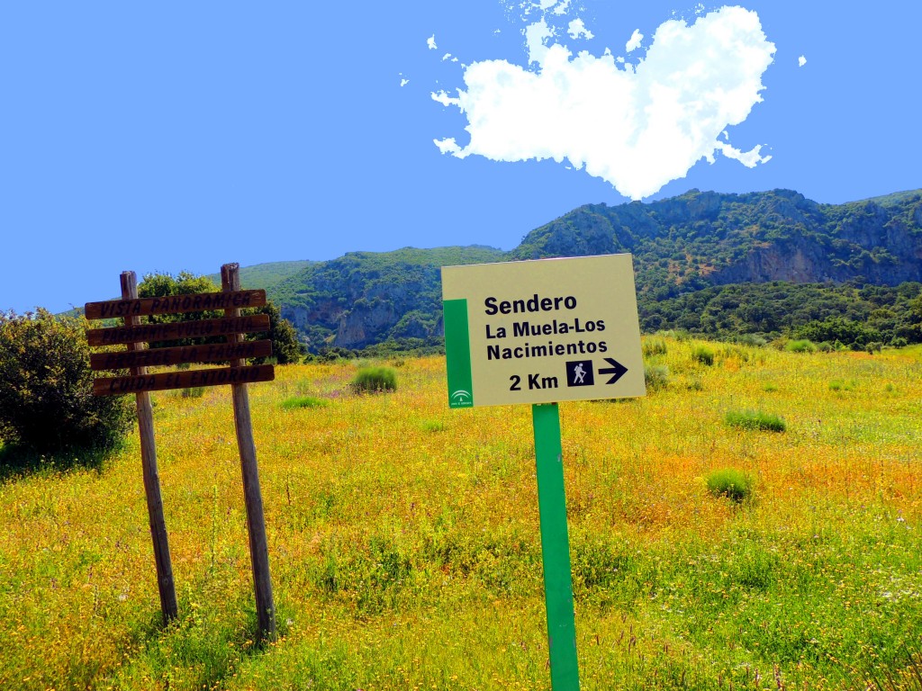Foto: Ruta de senderistas - La Muela de Algodonales (Cádiz), España