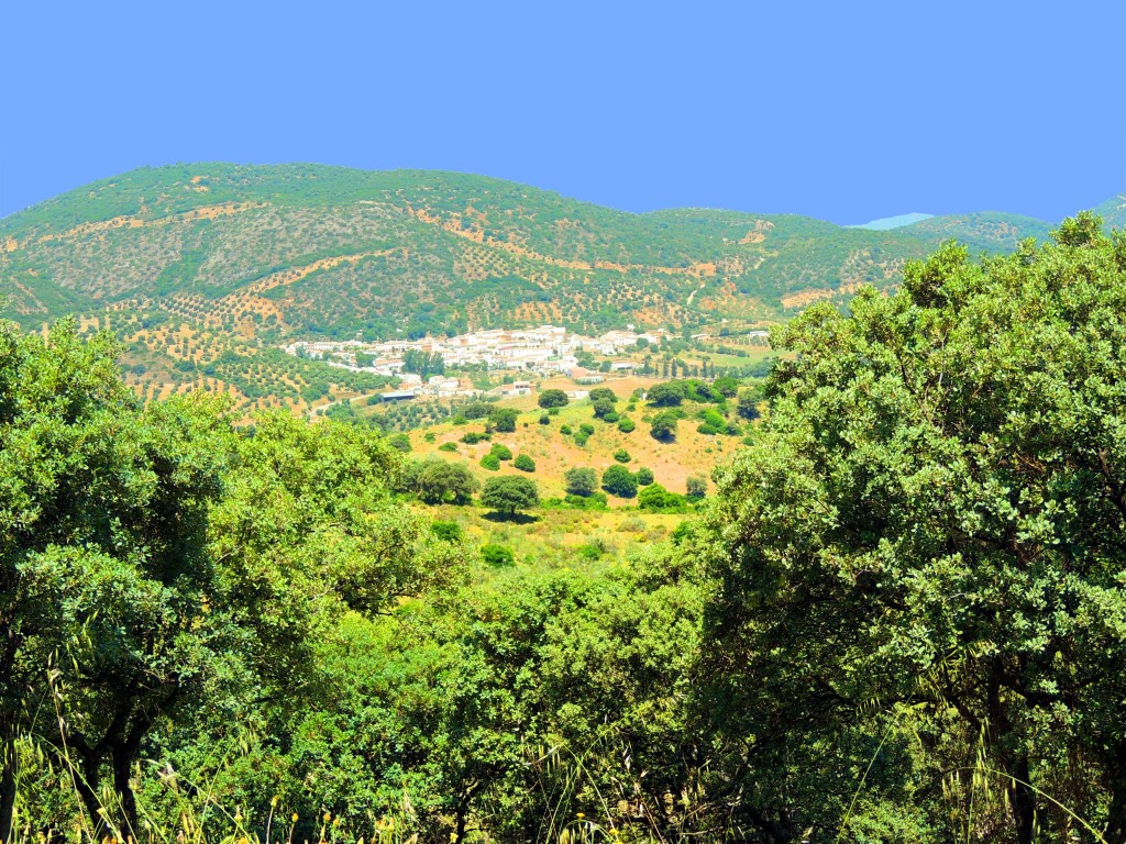 Foto: En pura naturaleza - La Muela de Algodonales (Cádiz), España