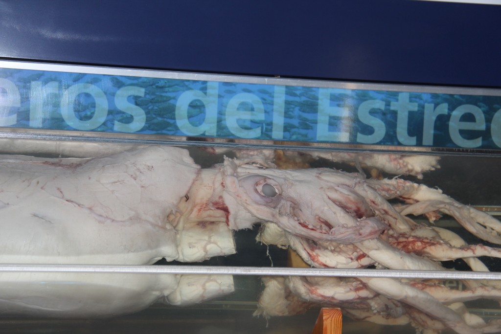 Foto de Tarifa (Cádiz), España