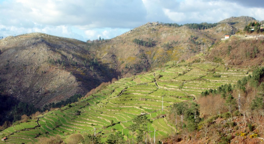 Foto de Sistelo-Arcos de Valdevez (Viana do Castelo), Portugal