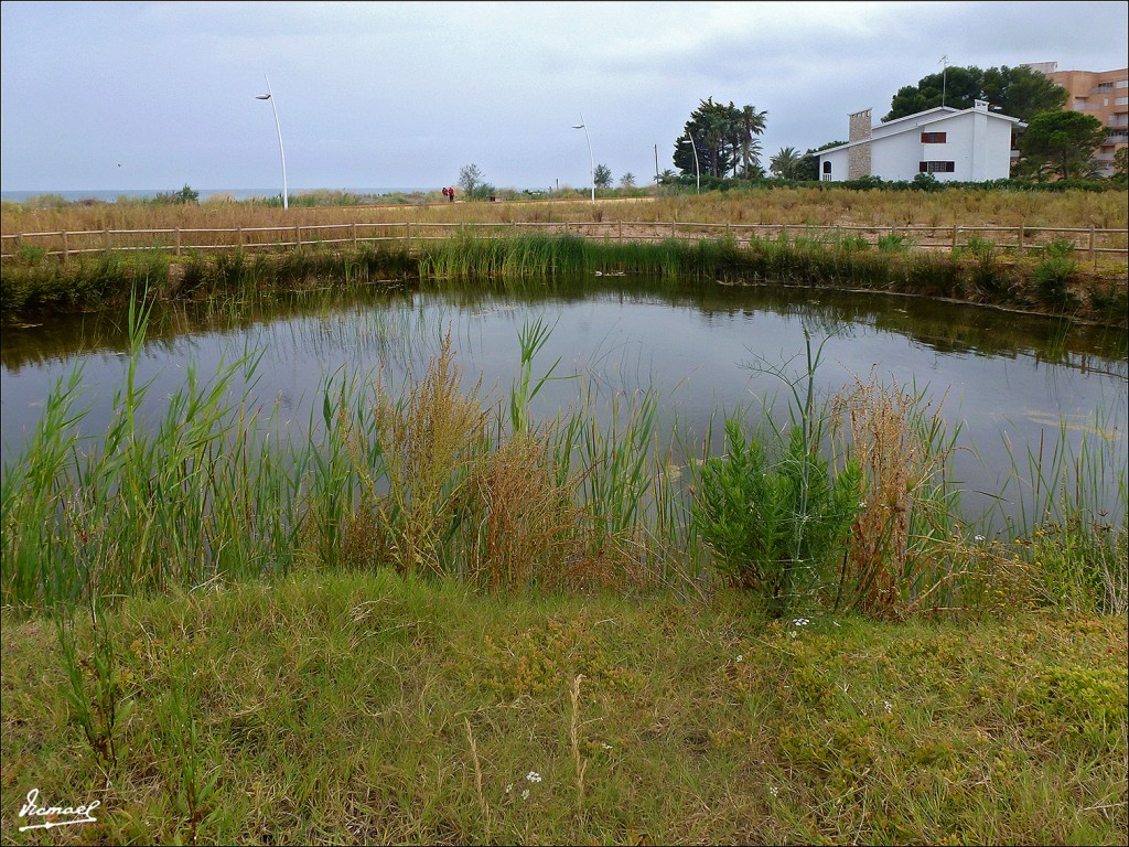 Foto: 130617-02 TORREBLANCA - Torreblanca (Castelló), España