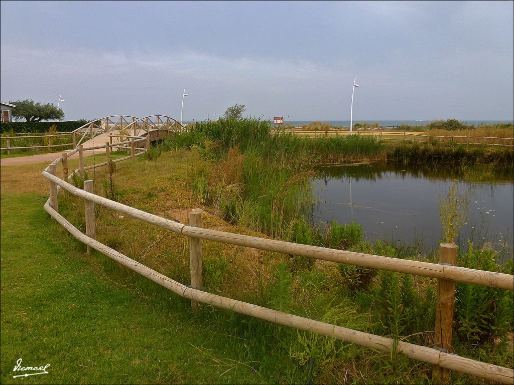 Foto: 130617-03 TORREBLANCA - Torreblanca (Castelló), España