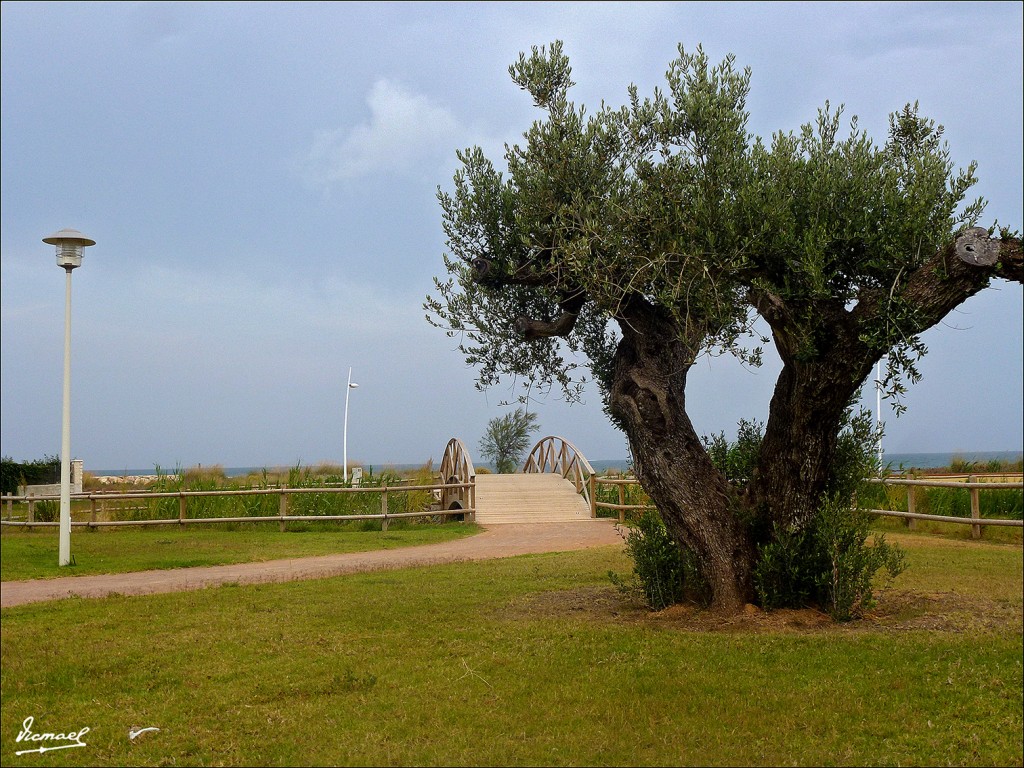 Foto: 130617-04 TORREBLANCA - Torreblanca (Castelló), España
