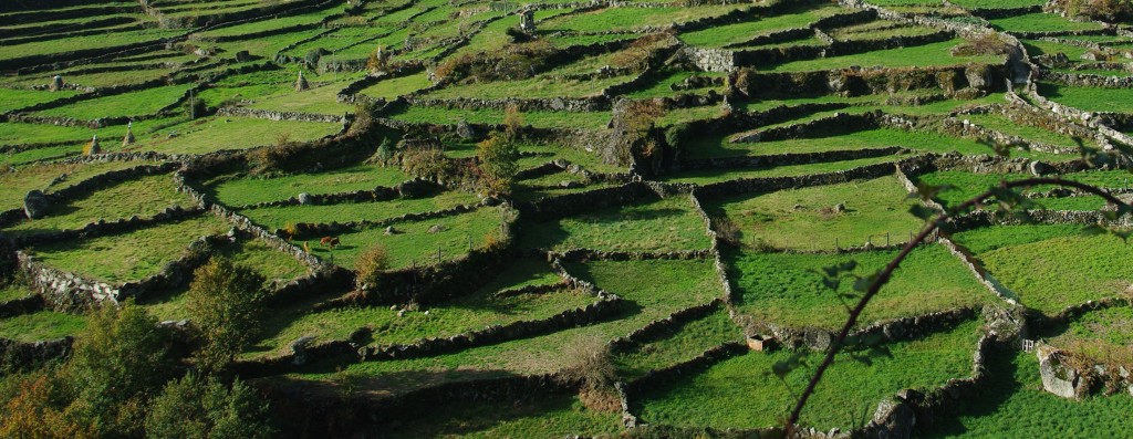 Foto de Gavieira (Viana do Castelo), Portugal