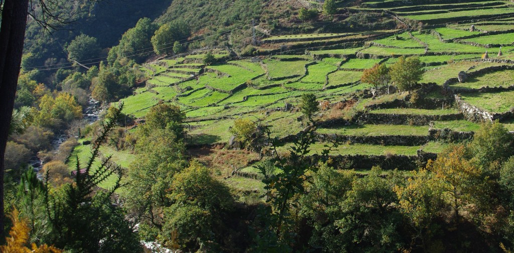 Foto de Gavieira (Viana do Castelo), Portugal