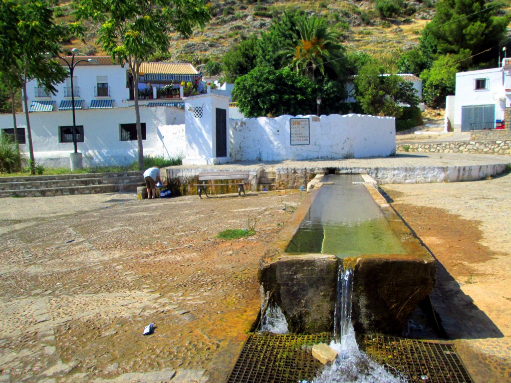 Foto: Fuente Alta - Algodonales (Cádiz), España