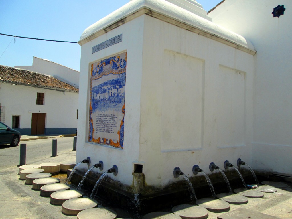 Foto: Fuente del Algarrobo - Algodonales (Cádiz), España
