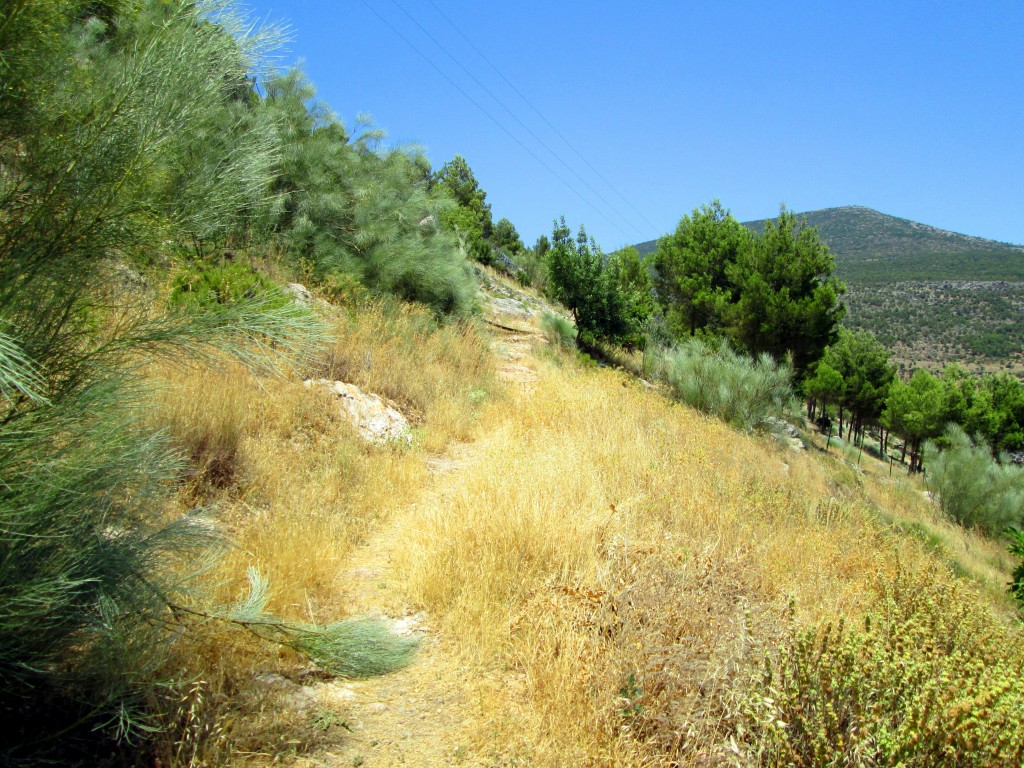Foto: Sendero Las Fuentes - Algodonales (Cádiz), España