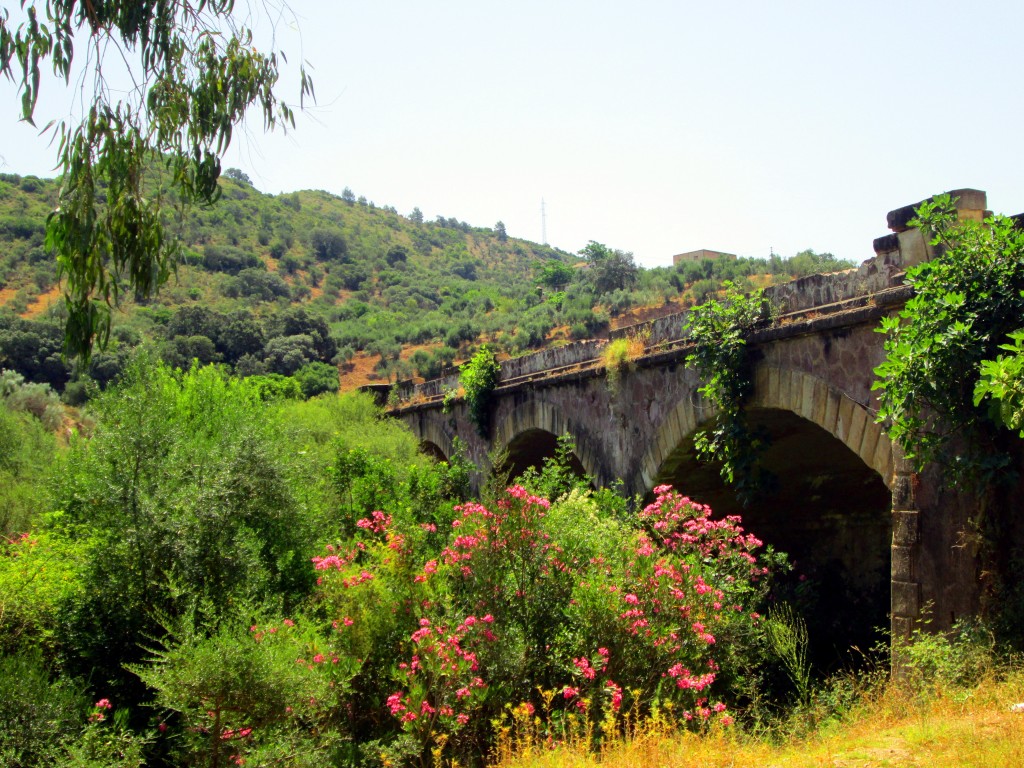 Foto: Puente La Nava - Algodonales (Cádiz), España