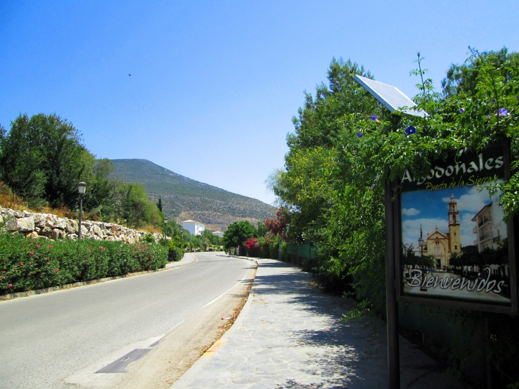 Foto: Llegada a Algodonales - Algodonales (Cádiz), España