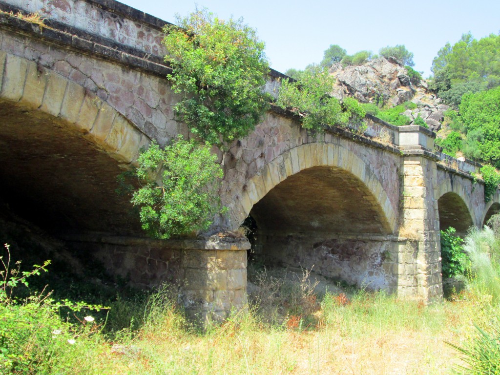 Foto: Puente LaNava - Algodonales (Cádiz), España
