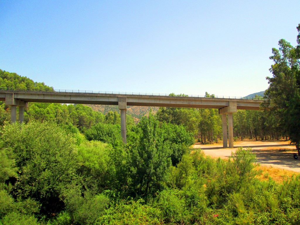 Foto: Carretera Algodonales - Algodonales (Cádiz), España