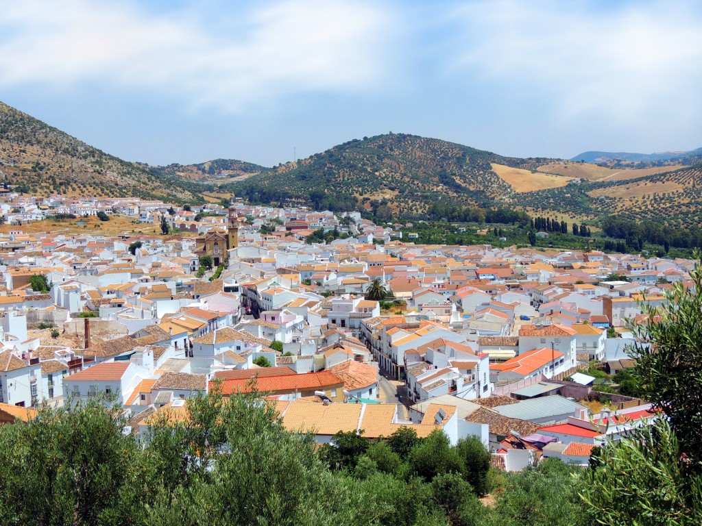 Foto: Vista de Algodonales - Algodonales (Cádiz), España