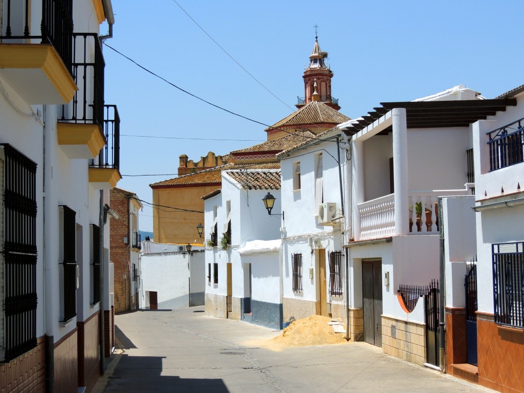 Foto: Calle Severo Ochoa - Algodonales (Cádiz), España