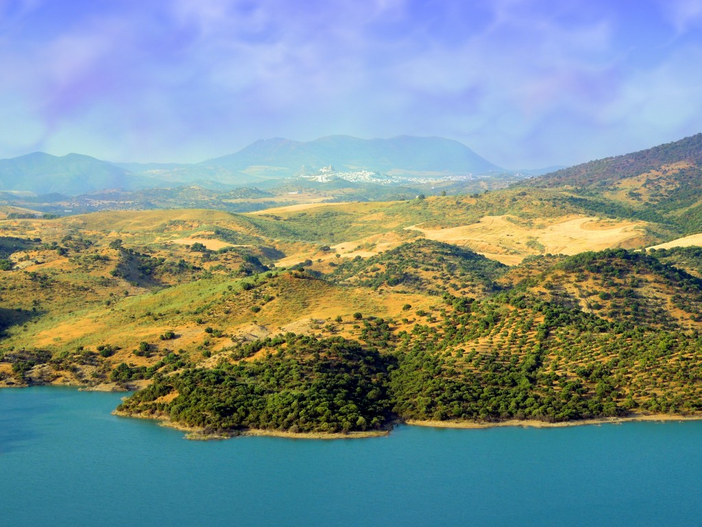 Foto: Al fondo Olvera - Zahara de la Sierra (Cádiz), España