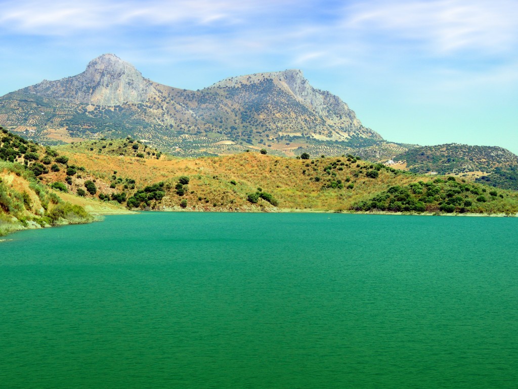 Foto: Al fondo el Langarín - Zahara de la Sierra (Cádiz), España