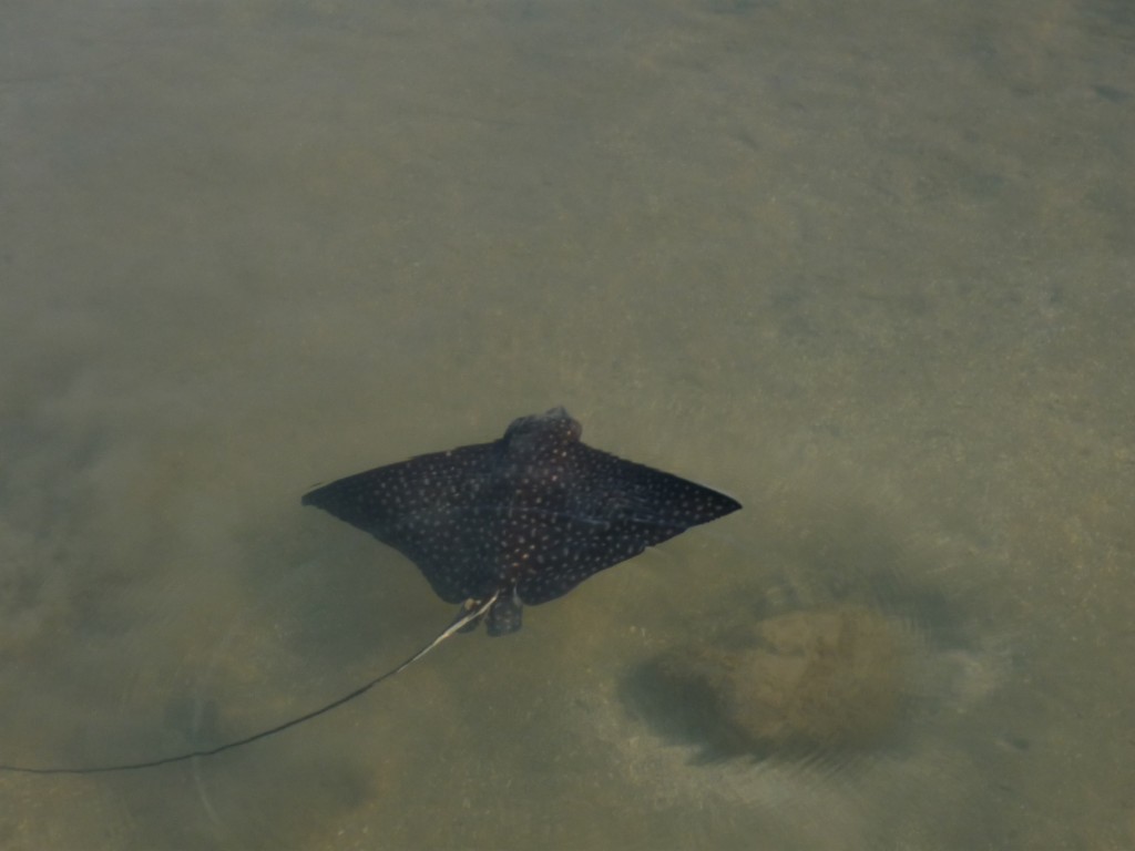 Foto de Providencia Y Santa Catalina (Archipiélago de San Andrés, Providencia y Santa Catalina), Colombia