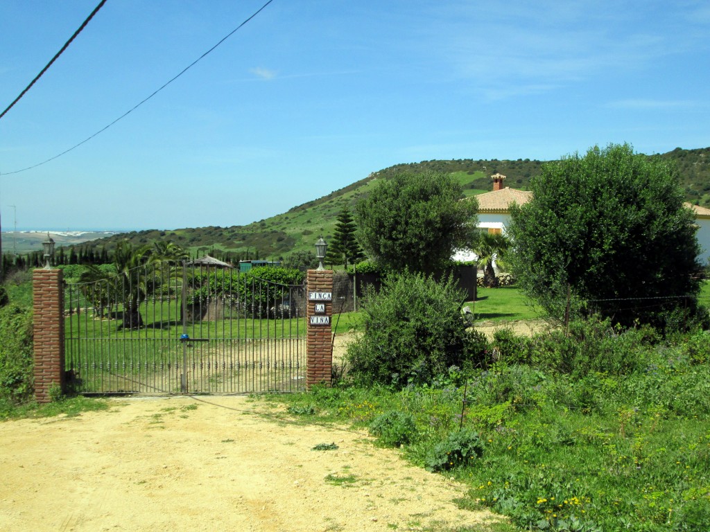 Foto: Finca La Viña - La Muela de Veger (Cádiz), España