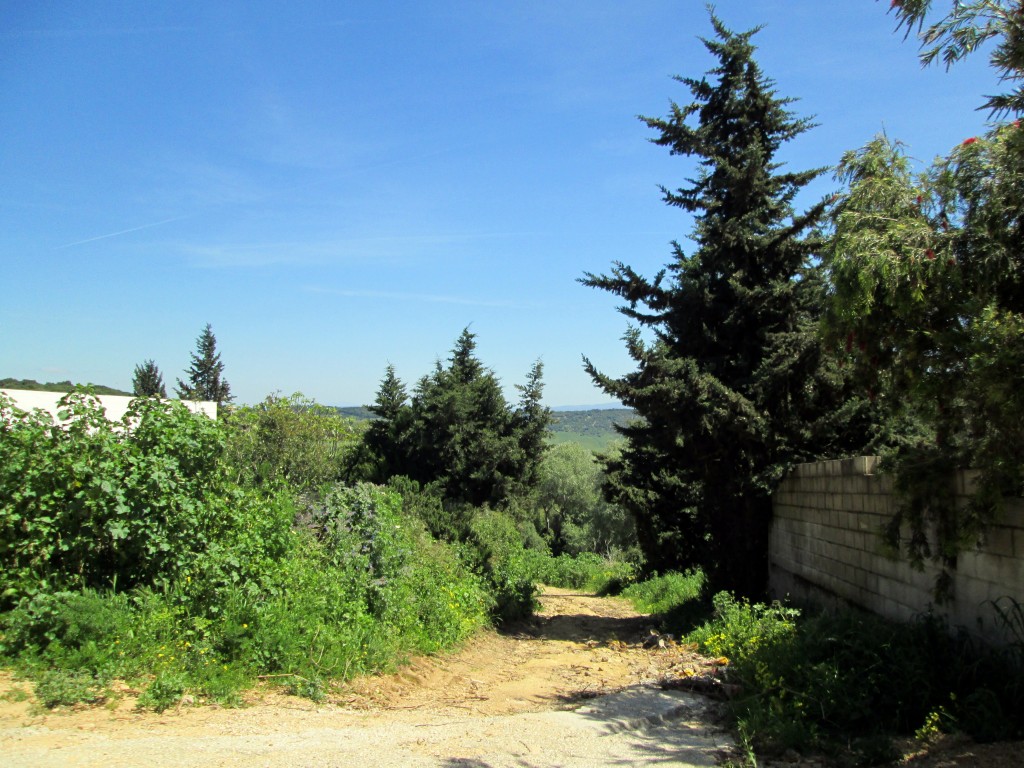 Foto: Camino de los Pañolitos - La Muela de Veger (Cádiz), España
