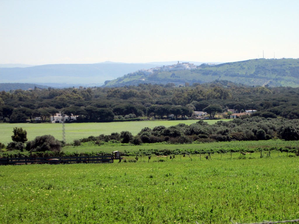 Foto: Veger desde La Muela - La Muela de Veger (Cádiz), España