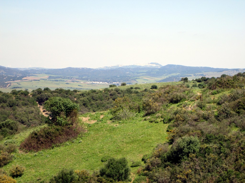 Foto: Al fondo Medina - La Muela de Veger (Cádiz), España