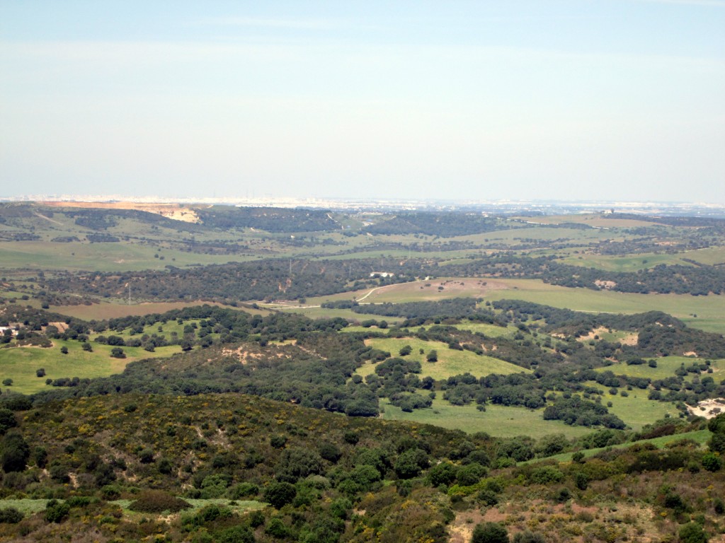 Foto: Al fondo Chiclana - La Muela de Veger (Cádiz), España