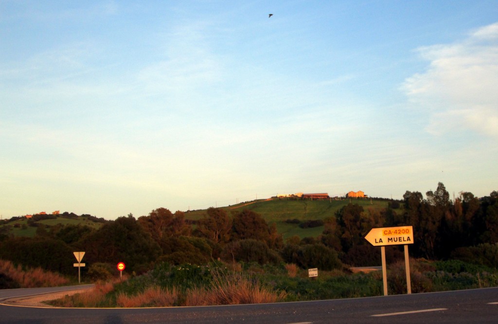 Foto: Subida a La Muela - La Muela de Veger (Cádiz), España