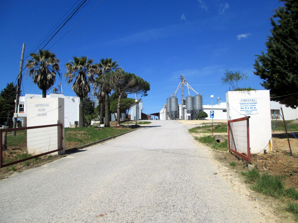 Foto: Cooperativa Divino Salvador - La Muela de Veger (Cádiz), España