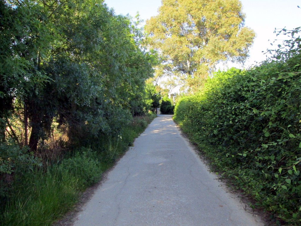 Foto: Camino a la Jerezana - La Parra (Cádiz), España