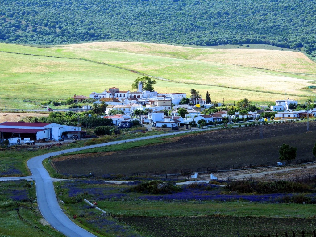 Foto: Vista de La Zarzuela - La Zarzuela (Cádiz), España