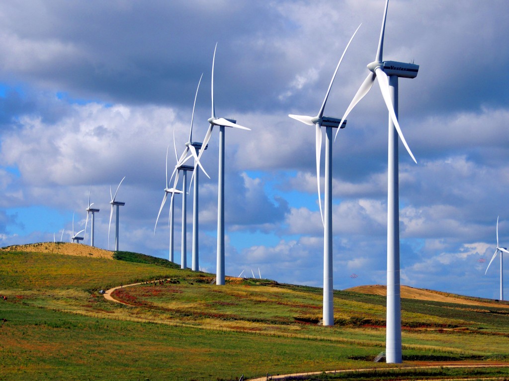 Foto: En línea - La Zarzuela (Cádiz), España