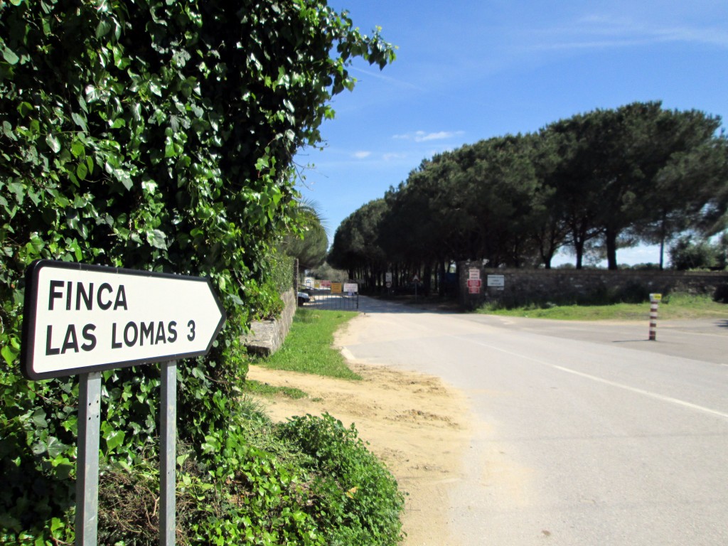Foto: Llegada a Las Lomas - Las Lomas (Cádiz), España