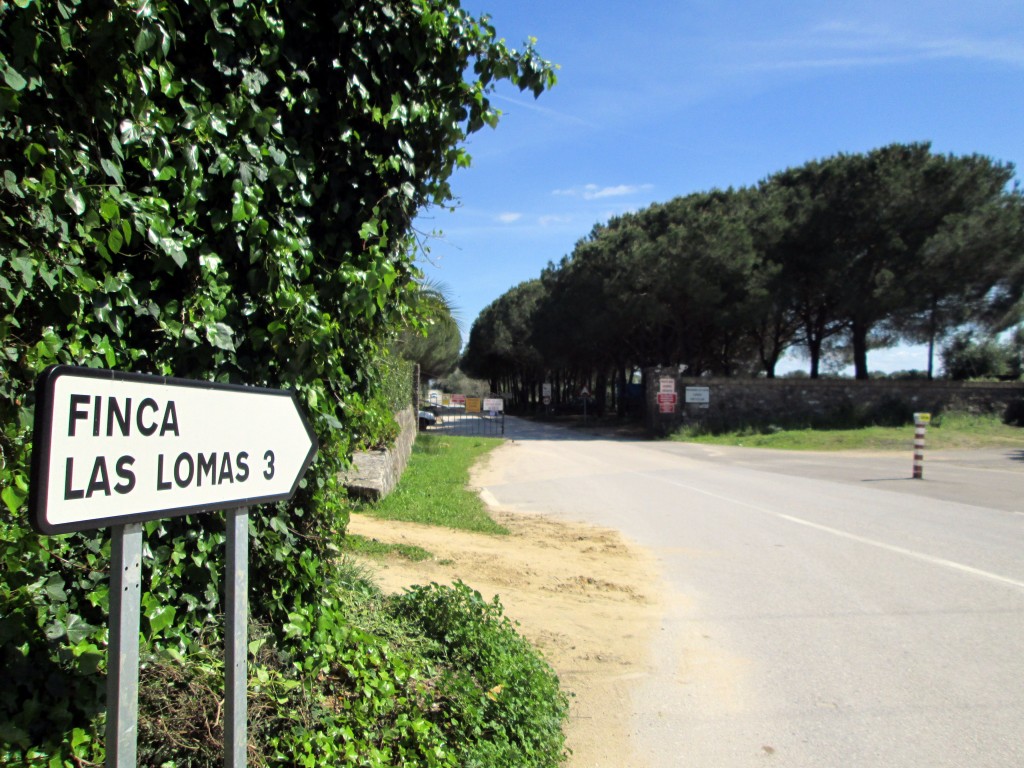 Foto: Llegada a Las Lomas - Las Lomas (Cádiz), España