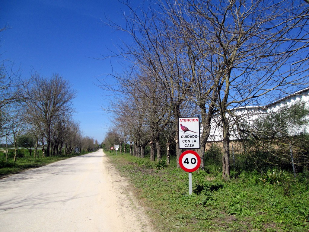 Foto: Respeto a los animales - Las Lomas (Cádiz), España