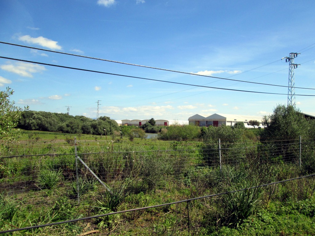 Foto: Las Naves - Las Lomas (Cádiz), España