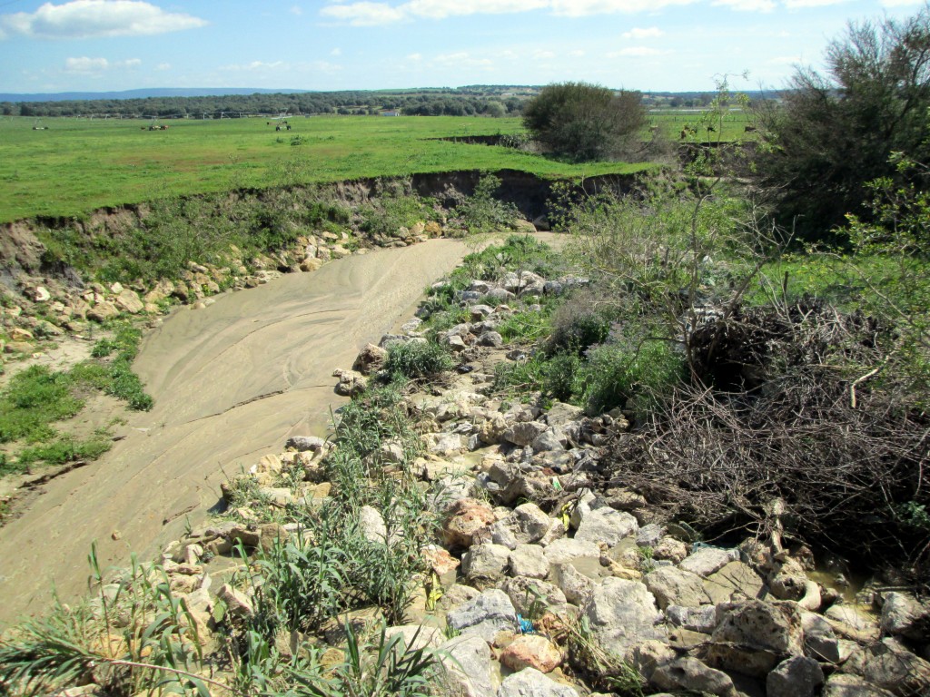 Foto: Arroyo Cañada de la Peña - Libreros (Cádiz), España