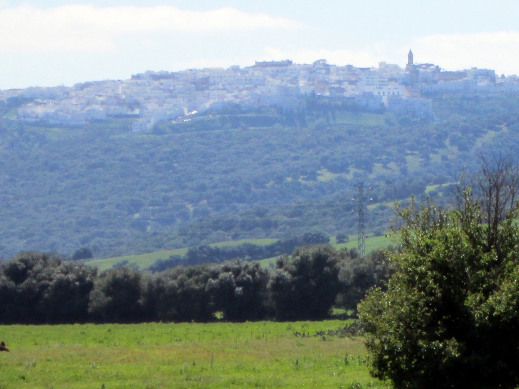 Foto: Veger desde Libreros - Libreros (Cádiz), España