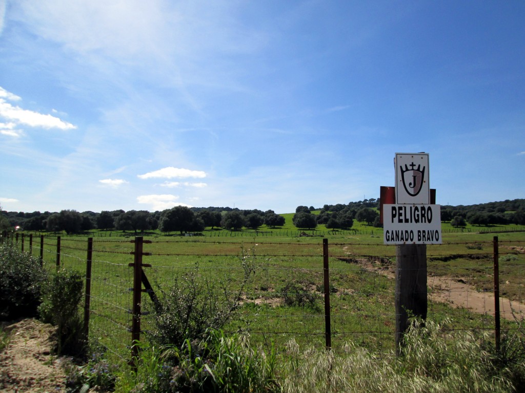 Foto: Peligro Zona de Seguridad - Libreros (Cádiz), España