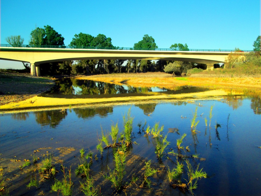 Foto: Puente Autovía Los Barrios - Lomoparado (Cádiz), España