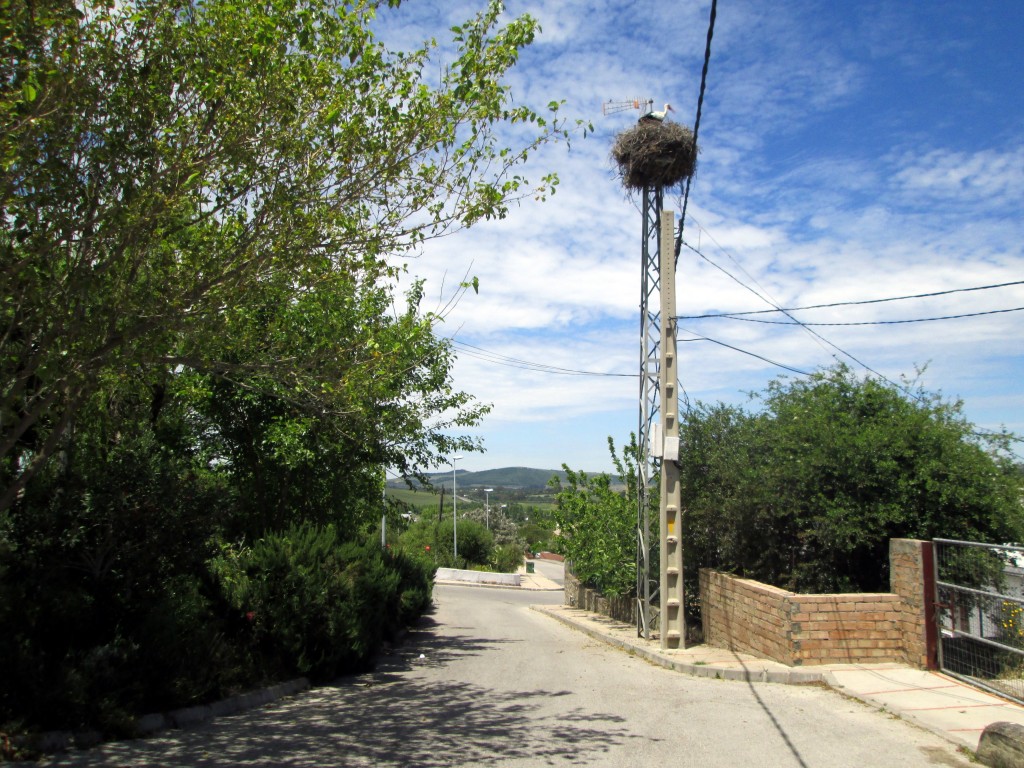Foto: Los vecinos del ático - Los Badalejos (Cádiz), España