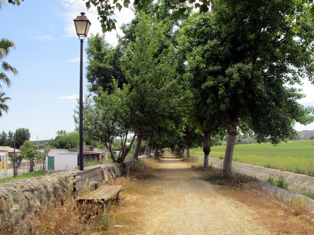 Foto: El paseo de Los Badalejos - Los Badalejos (Cádiz), España