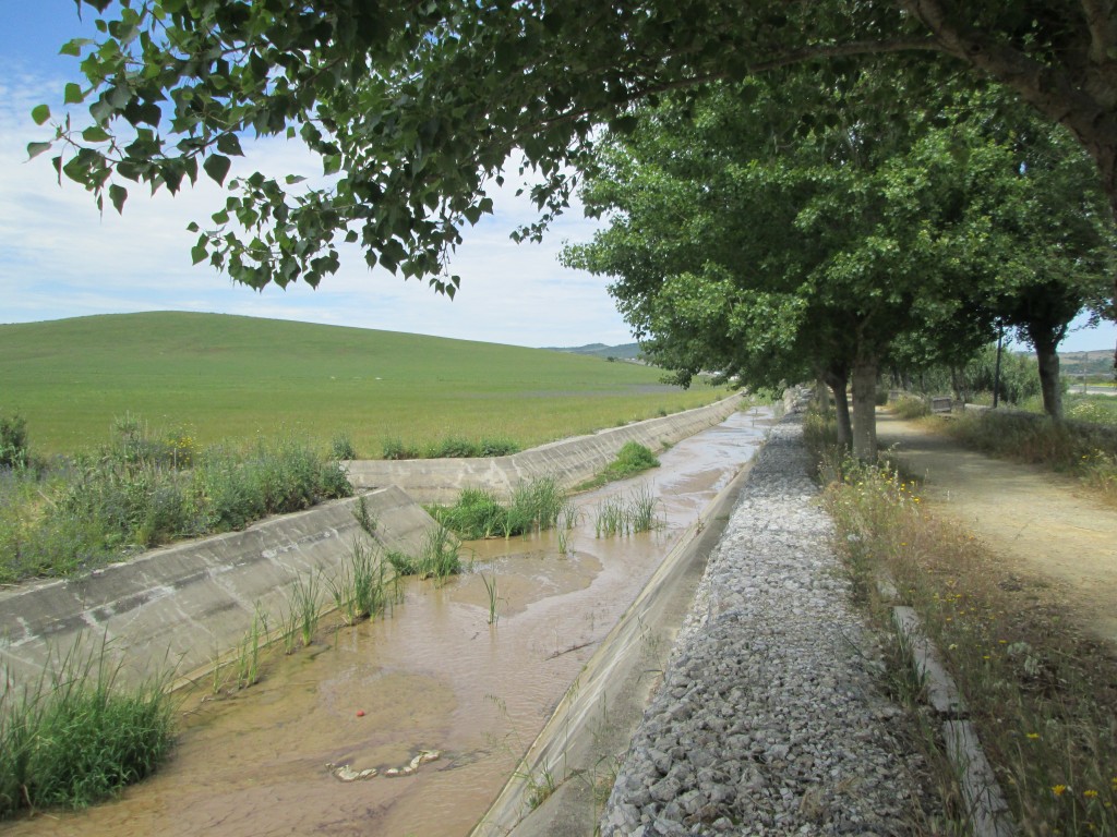 Foto: Acéquia - Los Badalejos (Cádiz), España