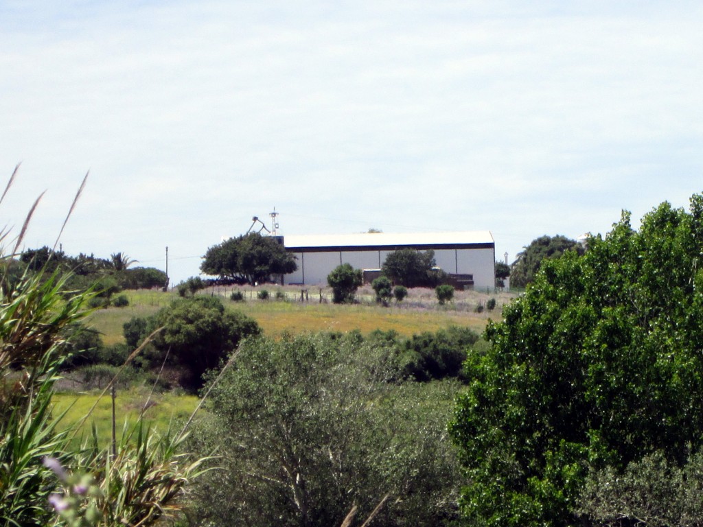 Foto: Finca Rendón - Los Badalejos (Cádiz), España