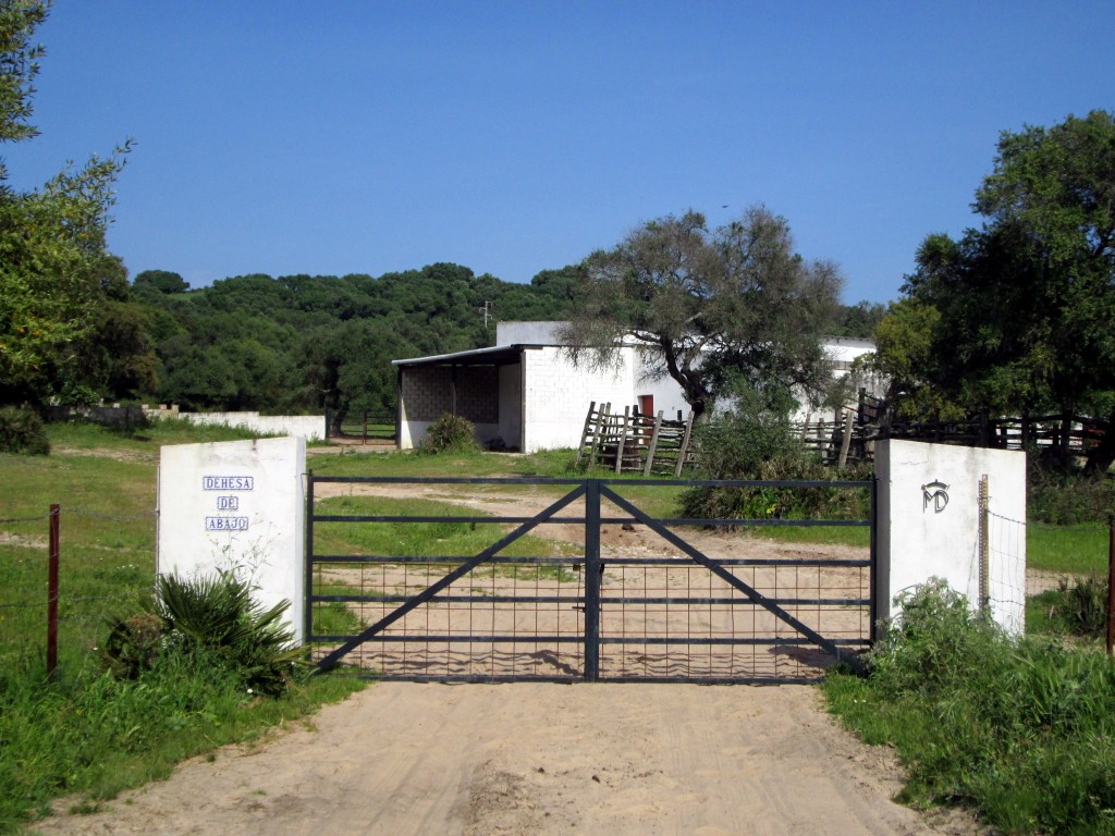 Foto: Dehesa del Abajo - Naveros (Cádiz), España