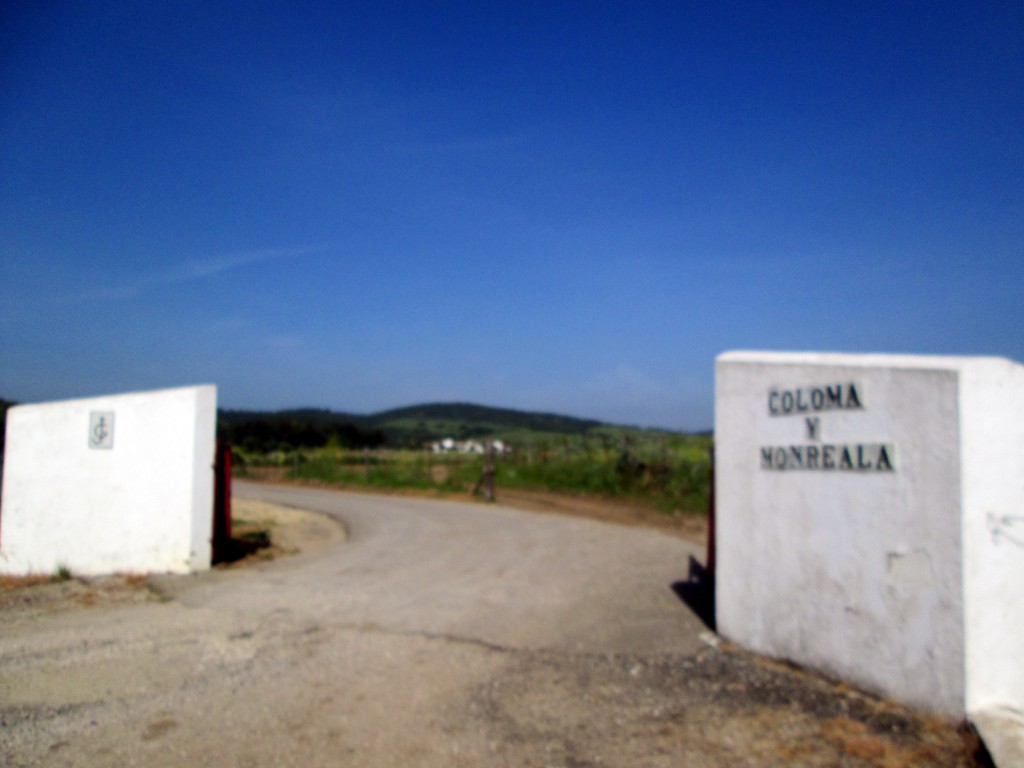 Foto: Entrada a Coloma y Monrreala - Naveros (Cádiz), España