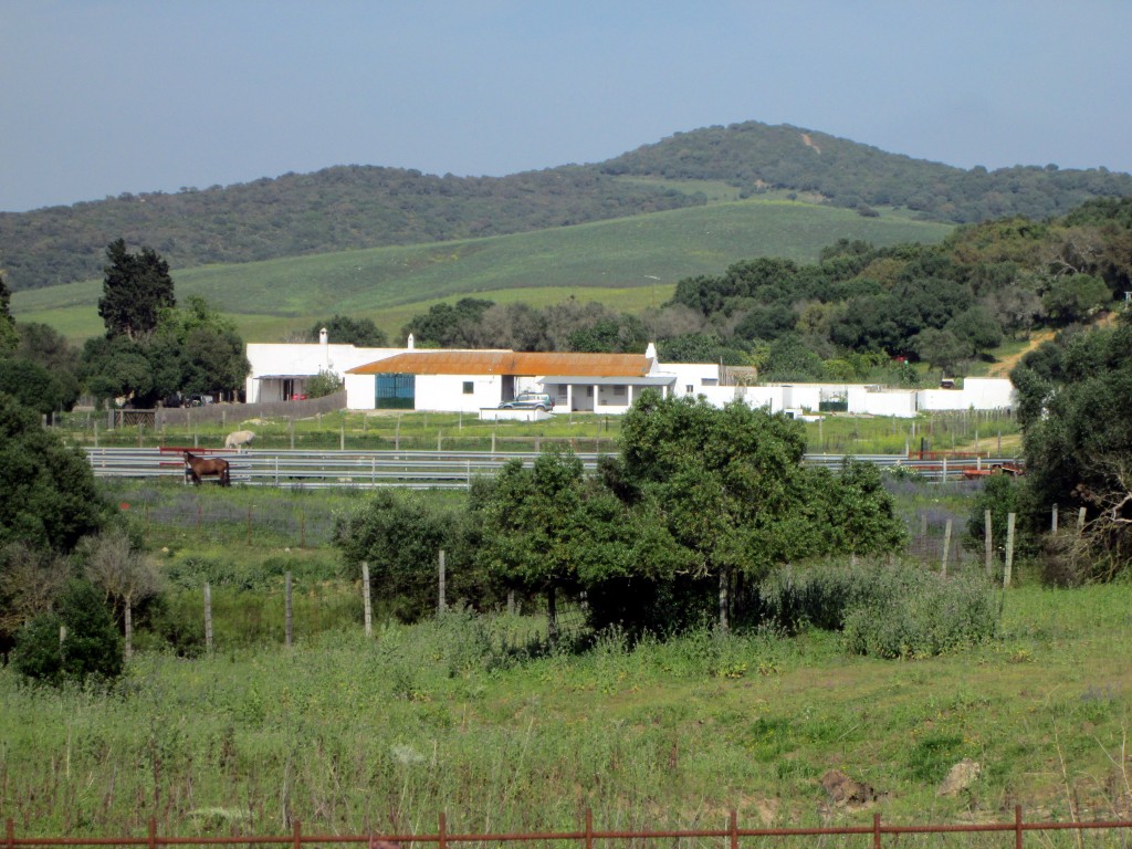 Foto: Cortijo El Huerto - Naveros (Cádiz), España
